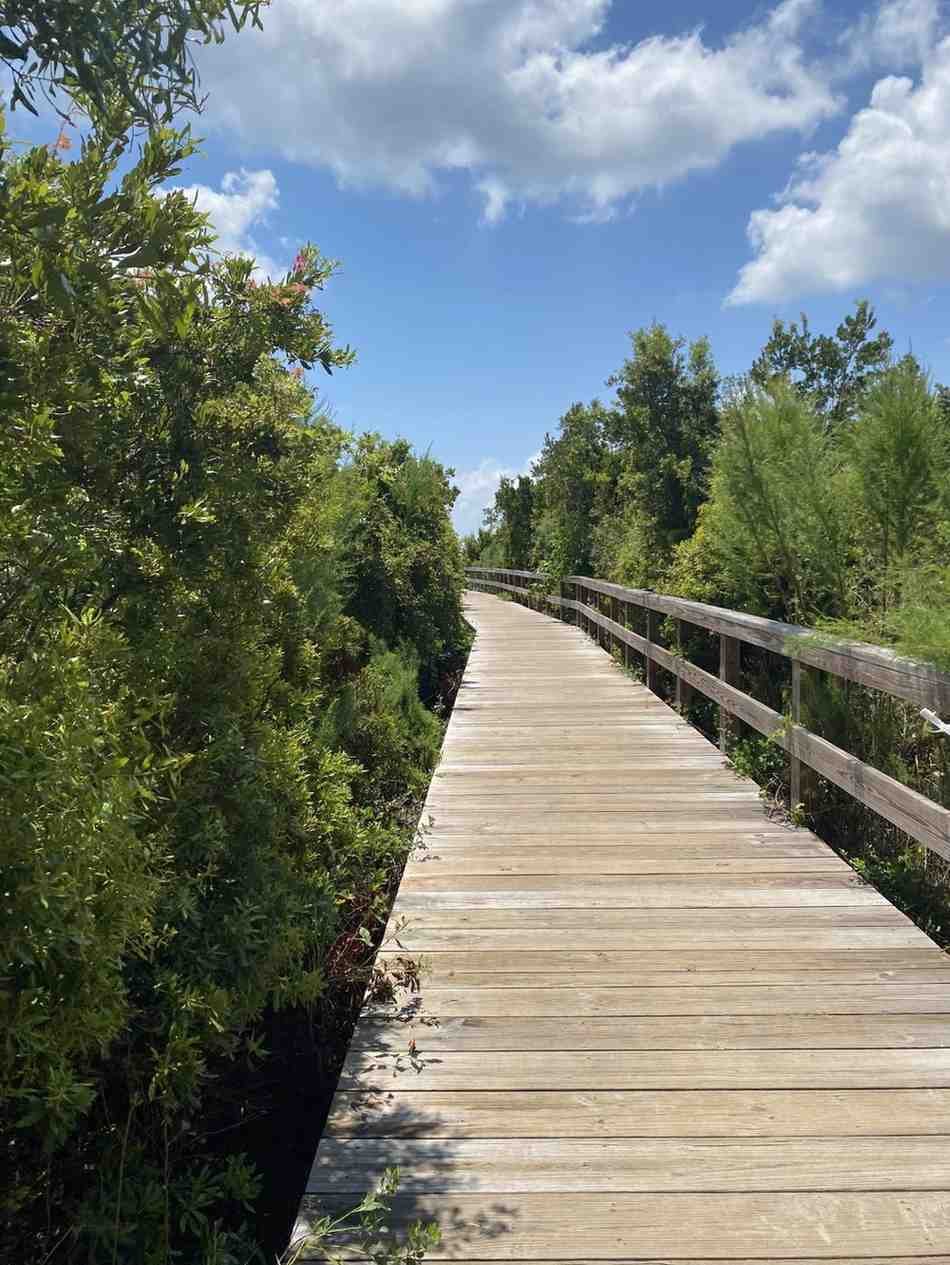 Wooden walkway through lush greenery on Sullivans Island